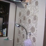DSC06029